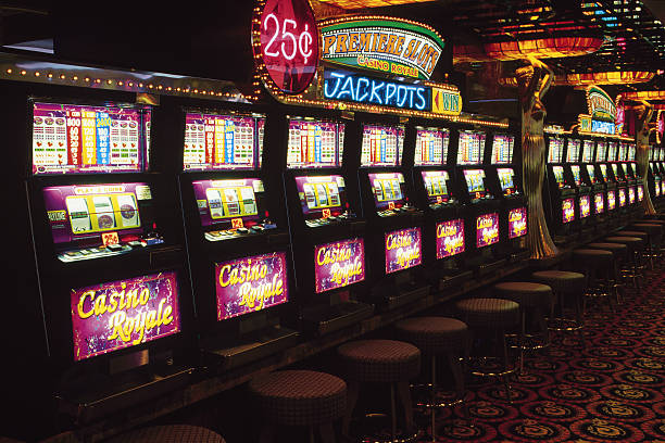 vio 77 Live Casino